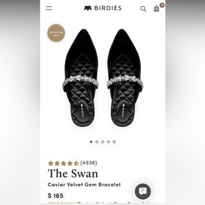 Birdies The Swan slides